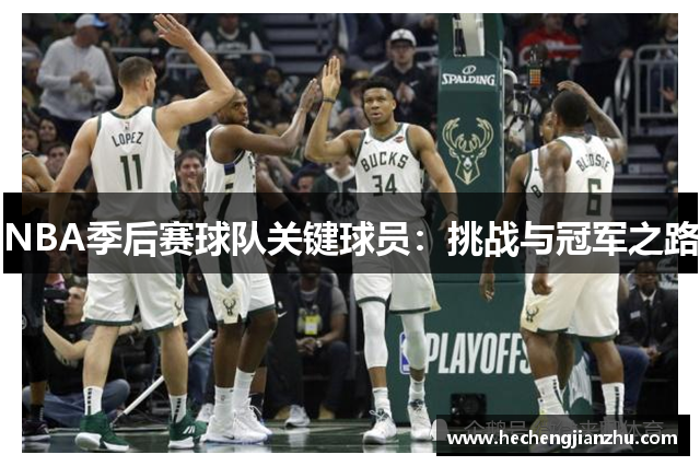 NBA季后赛球队关键球员：挑战与冠军之路