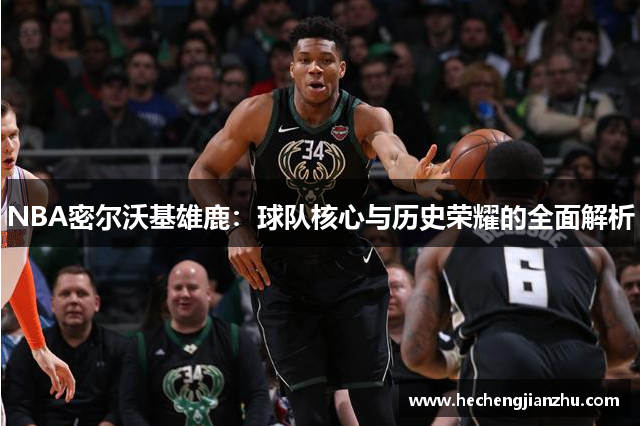 NBA密尔沃基雄鹿：球队核心与历史荣耀的全面解析